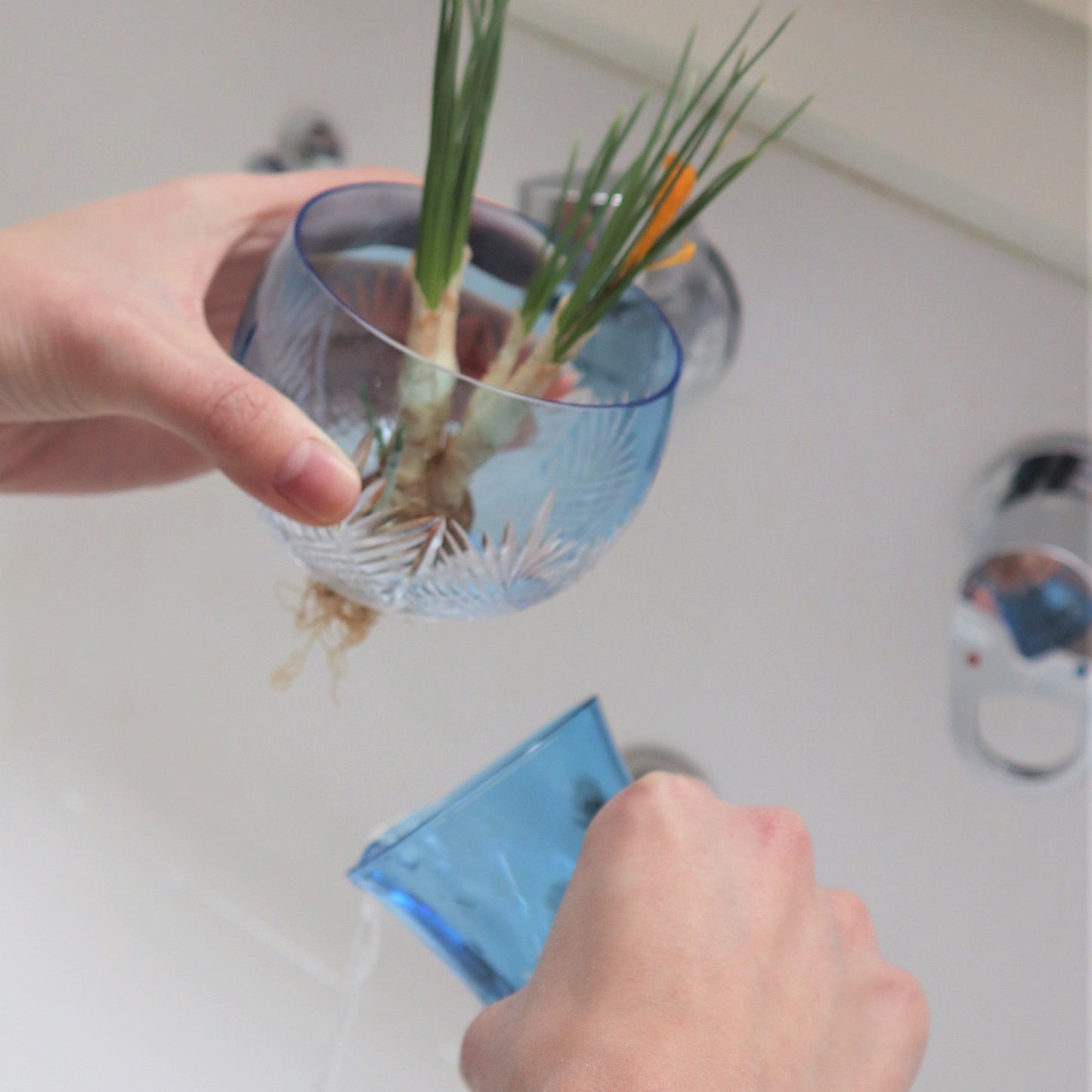 EDO AQUA GLASS
